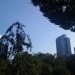ポケモンGO、29日目、浜町公園に行ってきました！
